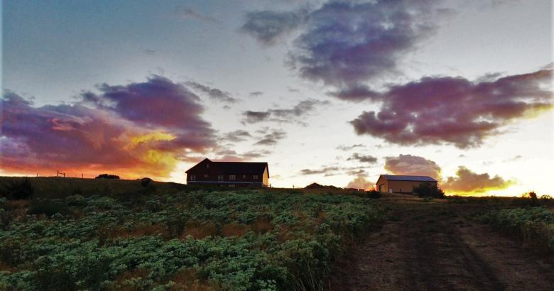 Dave's Missouri River House &amp; Shop